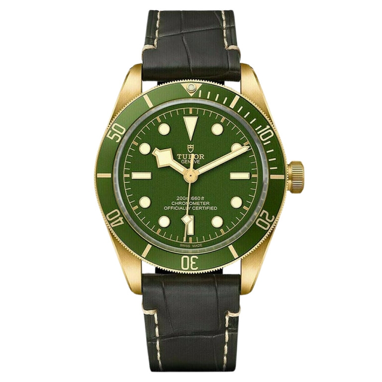 Black Bay 39mm - Tudor - 79018V-0001