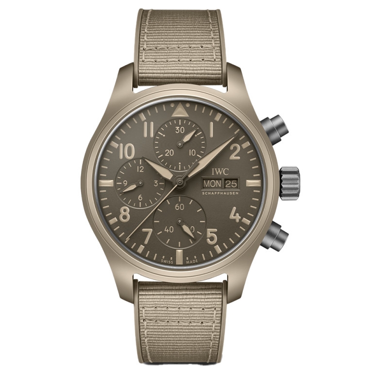 Pilot's Watch 41mm - IWC - IW389402