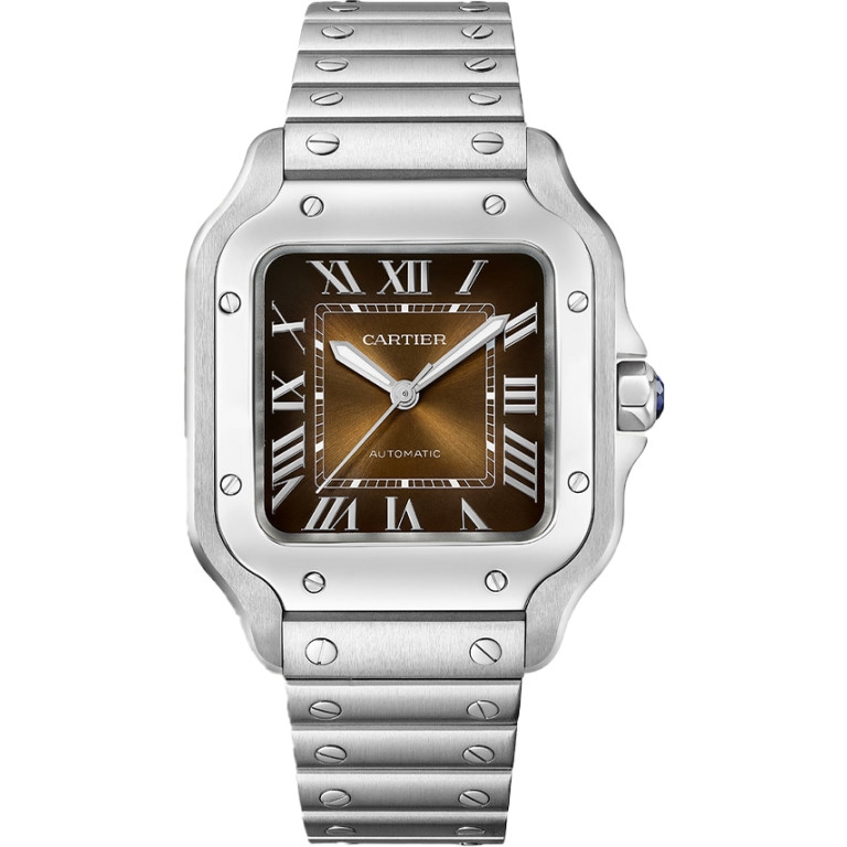 Santos de Cartier Medium - Cartier - WSSA0065