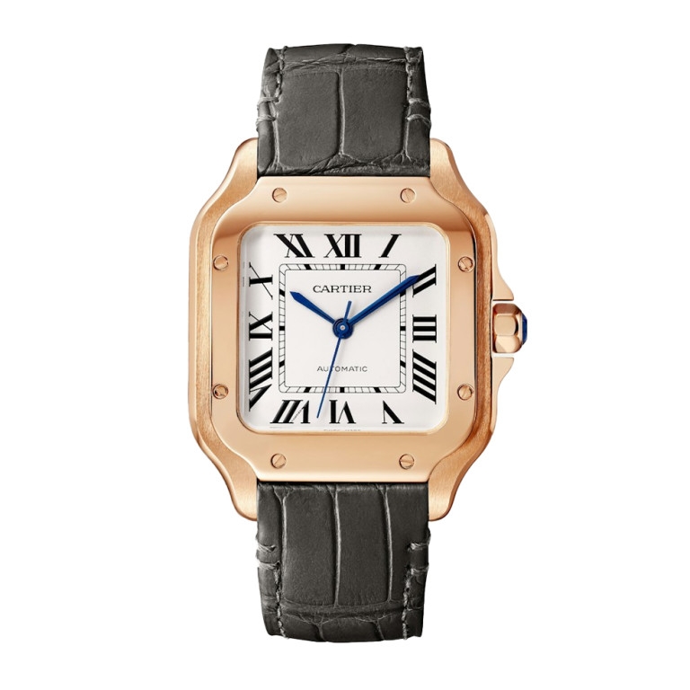 Santos de Cartier Medium - Cartier - WGSA0028