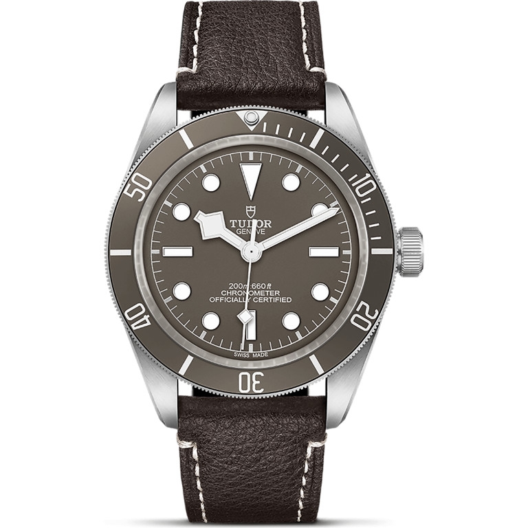 Black Bay 39mm - Tudor - 79010SG