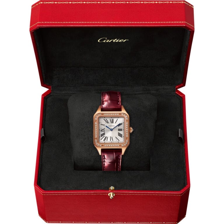 Cartier Santos de Cartier Santos-Dumont Small - WJSA0017 - #5