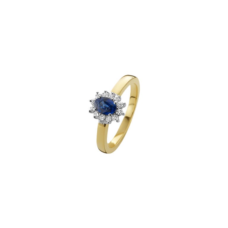 geel/wit goud entourage ring met diamant Schaap en Citroen Colours - #1