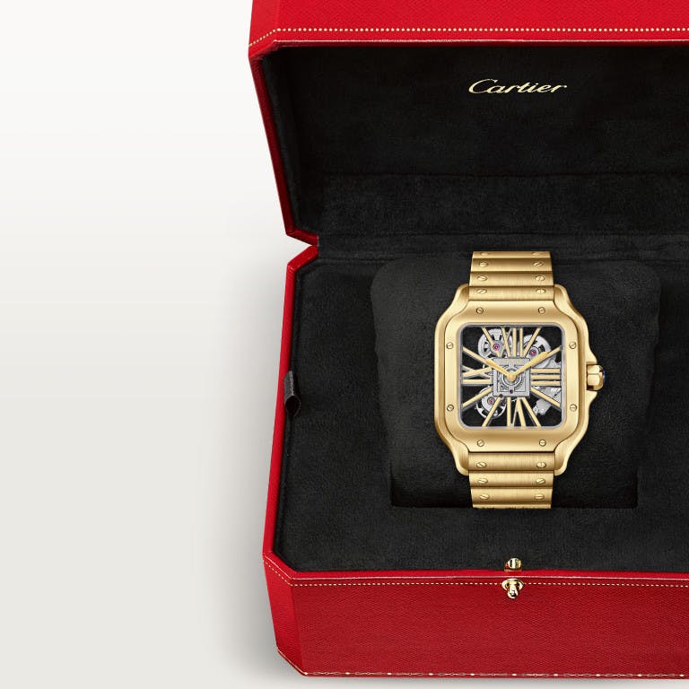 Cartier Santos de Cartier Skeleton Large - WHSA0042 - #10